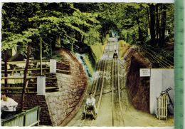 AK Ibbenbüren, Sommer-Rodelbahn ,  1986 - Ibbenbüren