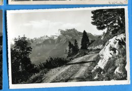 LIP241, Leysin, Dents Du Midi, Mont-Blanc, 754, Trümpler, Circulée 1961 - VD Vaud