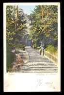 Oybin Aufgang Zur Ruine / Year 1903 / Old Postcard Not Circulated - Oybin
