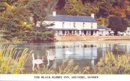 SUSSEX - ARUNDEL - THE BLACK RABBIT INN Sus504 - Arundel