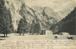 AK Oberstdorf Oytal Haus Berge & Kühe Litho 1904 #151 - Bautzen