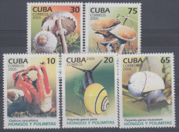 2005.177 CUBA 2005. MNH. HONGOS Y POLIMITAS. MUSHROOMS AND SNAILS. - Neufs