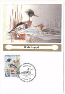 FRANCE - 4 Cartes Maximum - Nature De France - Espèces Protégées De Canards - 1993 - Eenden