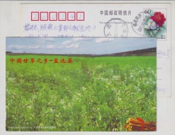 Hometown Of Chinese Glycyrrhiza Uralensis,traditional Chinese Medicine,CN03 Yanchi Planting Industry Pre-stamped Card - Plantes Médicinales