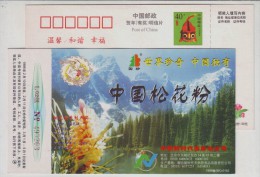 Masson Pine Pollen,China 1998 New-times Sale Company Health Foods Advertising Pre-stamped Card - Plantes Médicinales