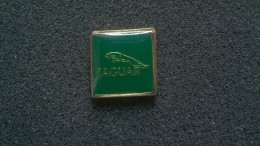 Pin Jaguar -P176 - Jaguar