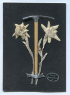 Alpinism, Mountaineering, Climbing - Flowers Ice Ax, NEBELHORN GIPFEL Germany, Souvenir 11 X 8 Cm - Escalada