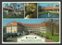 Deutschland Ansichtskarte Bad Waldsiedlung Wandlitz - Wandlitz