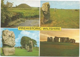 B3569 Prehistoric Wiltshire - Stonehenge - Silbury Hill - Avebury - West Kennet Avenue / Viaggiata 1991 - Stonehenge