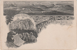 Litho Panorama AK Sächsische Schweiz Gruss Bärenstein Mit Kaltenberg Rosenberg Wolfsberg Bei Naundorf Weissig Thürmsdorf - Wehlen