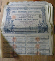 Lot 14 Actoins Titre Société Cotonnière Russo-Française Action 500 Francs 21 Coupons Coton Russe Russie Fileuse Rouet - Russia