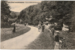 Carte Postale Ancienne De MUELLERTAL - Muellerthal