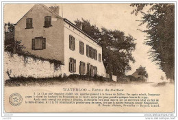 WATERLOO ..-- NAPOLEON ..-- Ferme Du Caillou . 1922 Vers NIVELLES . CACHET SPECIAL . Voir Verso . - Waterloo