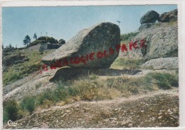 48 - CHATEAUNEUF DE RANDON - LA PIERRE BRANLANTE ET LE CALVAIRE - Chateauneuf De Randon