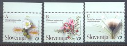 Slovenia Slowenien Slovenie 2011 Mint MNH ** Flora, Plants Of Barje: Sundew, Cranberry; Cottongrass; Sonnentau Moosbeere - Zonder Classificatie