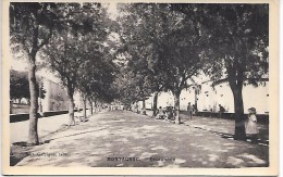 MONTAGNAC - Esplanade - Montagnac