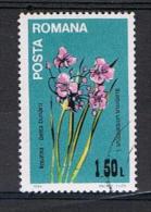 Roemenie Y/T 3503 (0) - Used Stamps