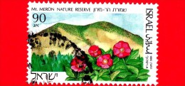 ISRAELE - Usato - 1990 - Riserve Naturali - Mt. Meron Nature Reserve - 90 - Usados (sin Tab)