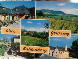 AUSTRIA  WIEN GRINZING    KAHTENBERG  N1975 EU17729 - Grinzing