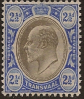 TRANSVAAL 1904 2 1/2d KE VII HM SG 263 SC35 - Transvaal (1870-1909)