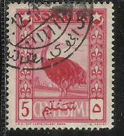 SOMALIA AFIS 1950 AFRICAN SUBJECTS SOGGETTI AFRICANI STRUZZO OSTRICH CENT. 5c SUJETS AFRICAINS USATO USED OBLITERE´ - Somalia (AFIS)