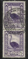 SOMALIA AFIS 1950 AFRICAN SUBJECTS SOGGETTI AFRICANI STRUZZO OSTRICH CENT. 60c COPPIA PAIR USATA USED OBLITERE' - Somalia (AFIS)