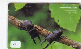 Télécarte  PUCE CORÉE * TELEFONKARTE KOREA (120) INSECTE * Scarabée * BEETLE INSECT Phonecard * KEVER * - Altri & Non Classificati