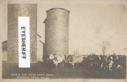 U.S.A. Iowa City: Oakland Sanatorium For Tuberculosis - Cows At The Dairy Farm 1920s. Rare RPPC. - Iowa City