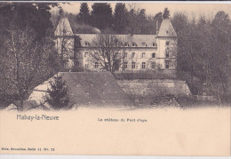 HABAY-LA-NEUVE : Le Château Du Pont D'Oye - Habay