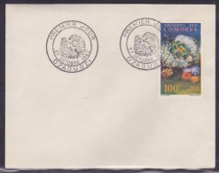 Comores - Lettre - Covers & Documents