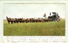 Motiv Landwirtschaft 1909-06-28 AK USA Mähdrescher - Traktoren