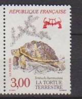 France. Tortue D´ Hermann ** - Schildkröten