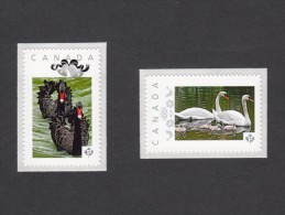 SWANS ,Cisne ,CYGNE, Cigno, SCHWAN.  Set Of 2 Picture Postage Mint, Unused Stamps, Canada  2014 [p7sw2] - Swans