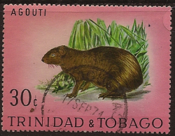 TRINIDAD & TOBAGO 1971 30c Agouiti SG 395 U TF248 - Trinidad & Tobago (1962-...)