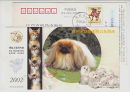 Cat,Shih Tzu Pet Dog,China 2002 Suzhou Veterinary Hospital Advertising Pre-stamped Card - Cani
