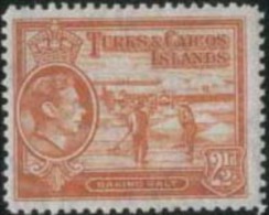 TURKS & CAICOS IS 1938 2 1/2d KGVI SG199a HM EZ264 - Turcas Y Caicos