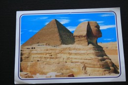 CPM EGYPTE EGYPT LE CAIRE CAIRE SPHINX - Tempels Van Aboe Simbel