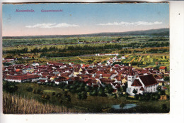 F 67730 CHATENOIS / KESTENHOLZ, Panorama - Chatenois