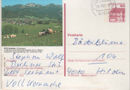 C P Entier  Allemand Deutsche Bundespost 60 Rouge Aschau Oblitéré - Cartoline Illustrate - Usati