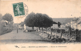 ¤¤  -   1045   -  BRINON-sur-BEUVRON    -  Route De Chevannes    -   ¤¤ - Brinon Sur Beuvron