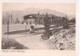 Shierke Im Harz - Bahnhof Station Gare - Schierke