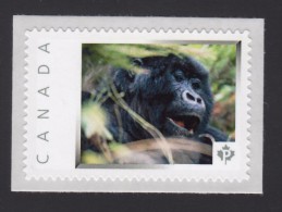 GORILLA, MONKEY, Picture Postage Mint, Unused Stamp, Canada  2014 [p6sn10] - Gorillas