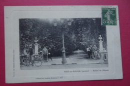 Cp Aire Sur Adour  Allee De L'adour - Aire