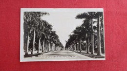 - Florida> Fort Myers   RPPC   First Street -1845 - Fort Myers