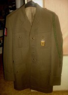 ANCIEN OBSOLETE UNIFORME ARMEE FRANCAISE BOUTON RONDS 15eme RA PUCELLE FOURRAGÈRE Voir Détails Complet - Uniformen