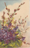 BOUQUET  DE  VIOLETTES  ET  CHATONS  ( Signé  A. HALLER ) - Haller, A.