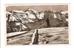 OHERHALB BRAUNWALD - SUISSE - BLICK GEGEN DEN HAUSSTOCK - Braunwald