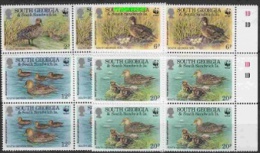 South Georgia 1992 WWF/Teals 4v Bl Of 4 ** Mnh (22083) - Zuid-Georgia