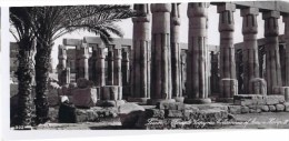 Cpa  Luxor Temple - Luxor