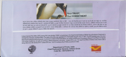 India 2015   PENGUIN  11th  CBS HEAD POST OFFICE  ODISHA CIRCLE  CUTTACK  Cover   # 65718  Inde  Indien - Lettres & Documents